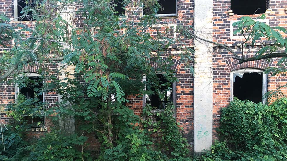 Pflanzen wachsen an der Hauswand eines verfallenen Gebäudes entlang.
